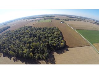 Tract 12 - LAND & REAL ESTATE AUCTION, 450+/- Acres offered in 17 Tracts of Highly Productive, Tillable Crop Land